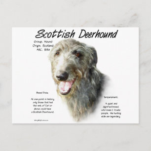 Cartão Postal Design de História de Deerhound Escocês