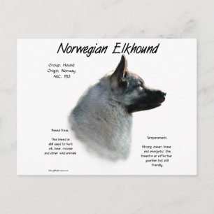 Cartão Postal Design de História de Elkhound Norueguês