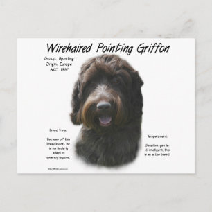 Cartão Postal Design de História de Griffon Apontando por Wireh