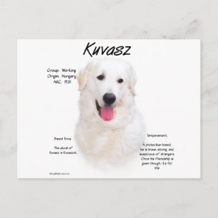 Cartão Postal Design de História de Kuvasz