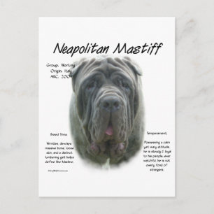 Cartão Postal Design de História de Mastiff (cinza) napolitano
