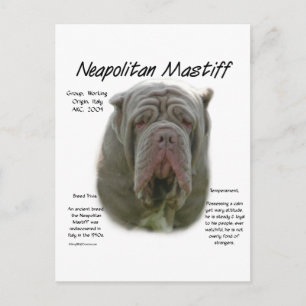 Cartão Postal Design de História de napolitano Mastiff (tawny)