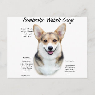 Cartão Postal Design de História de Pembroke Welsh Corg