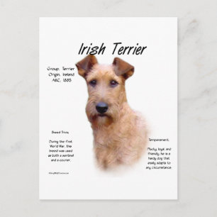 Cartão Postal Design de História de Terrier irlandês