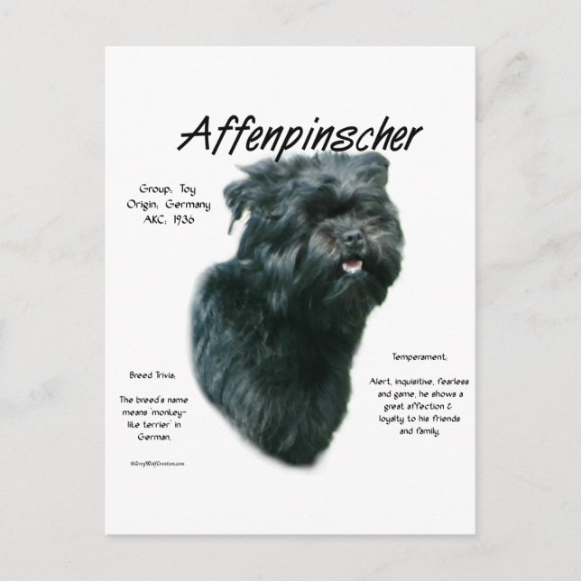 Cartão Postal Design de História do Affenpinscher (Frente)