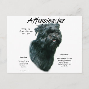 Cartão Postal Design de História do Affenpinscher