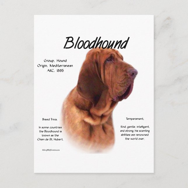 Cartão Postal Design de História do Bloodhound (Frente)