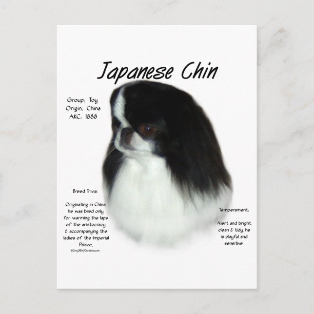 Cartão Postal Design de História do Chin Japonês (Frente)