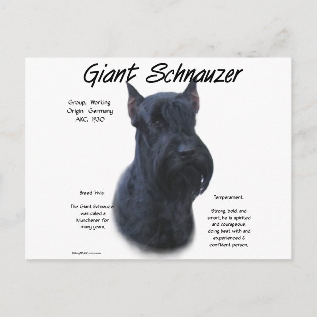 Cartão Postal Design de História do Giant Schnauzer (Frente)