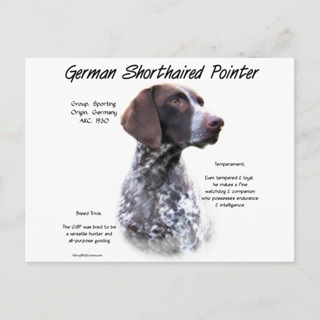 Cartão Postal Design de História do Ponteiro de Curta-Metragem A (Frente)