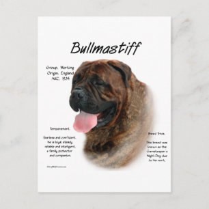 Cartão Postal Design de Histórico de Bullmastiff (brindle)