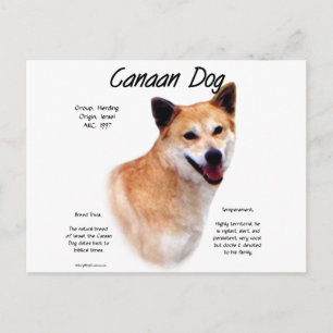 Cartão Postal Design de Histórico de Cachorros