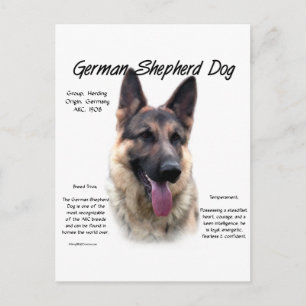 Cartão Postal design de Histórico de Cães german shepherd