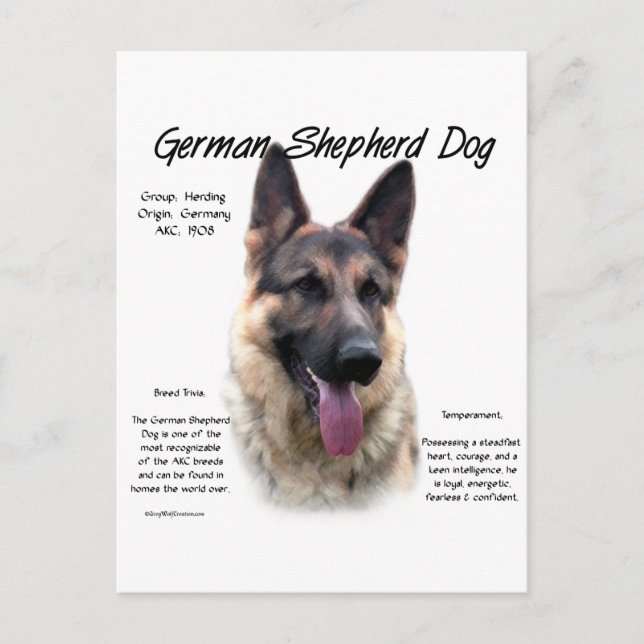 Cartão Postal Design de Histórico de Cães german shepherd (Frente)