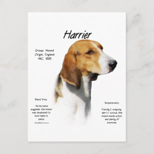 Cartão Postal Design de histórico de Harrier