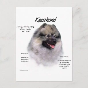 Cartão Postal Design de Histórico de Keeshond