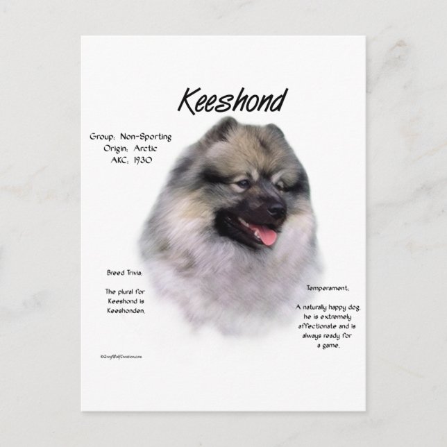Cartão Postal Design de Histórico de Keeshond (Frente)