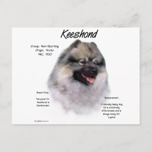Cartão Postal Design de Histórico de Keeshond