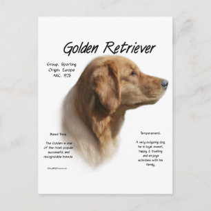 Cartão Postal Design de Histórico de Retriever de ouro