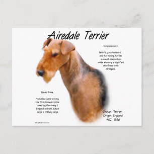 Cartão Postal Design de Histórico de Terrier Airedale