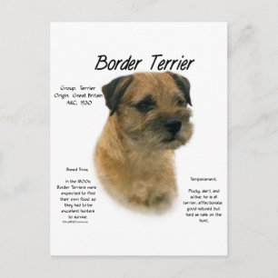Cartão Postal Design de Histórico de Terrier de Borda