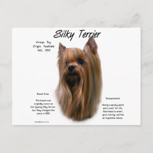 Cartão Postal Design de Histórico de Terrier Silky