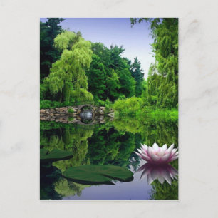 Cartão Postal Design de jardim de água tranquila
