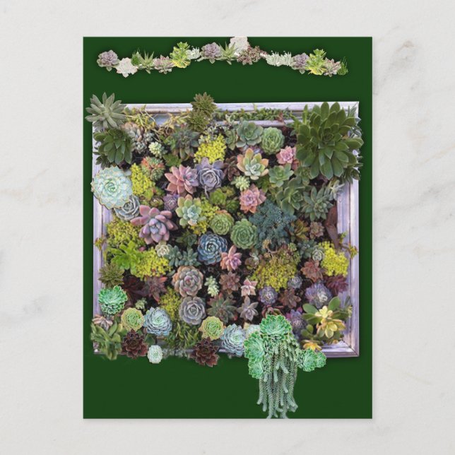 Cartão Postal Design de jardim de sucesso (Frente)