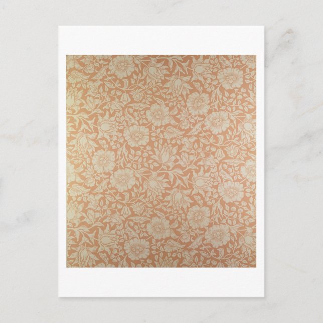 Cartão Postal design de papel de parede 'Mallow' (Frente)