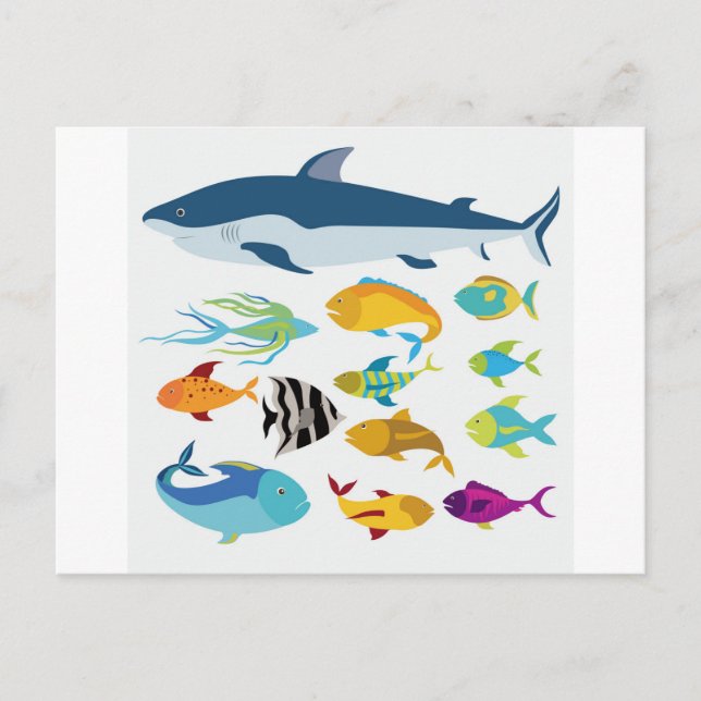 Cartão Postal design de peixe (Frente)