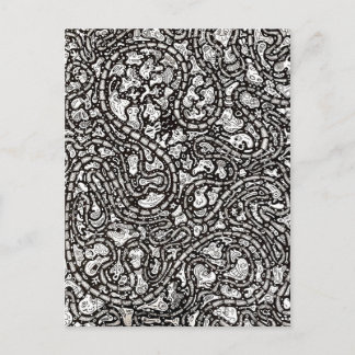 Cartão Postal Design de Rostos Estranhos Desenho Animado Curvo e