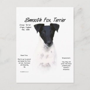 Cartão Postal Design do Histórico de Terrier da Raposa Suave