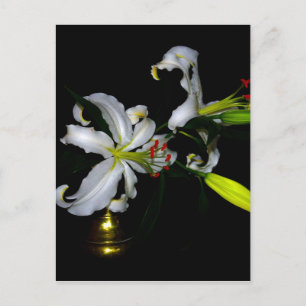 Cartão Postal Design irlandês e Design de flores