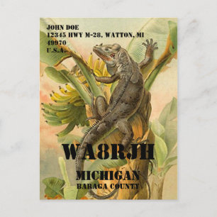 Cartão Postal Design seu próprio Sapo de operador de rádio HAM Q