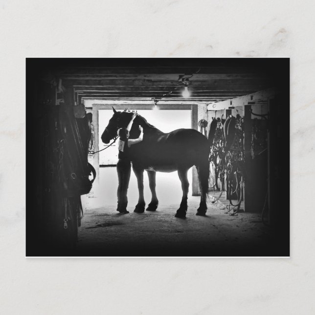 Cartão Postal Desmolho (Frente)