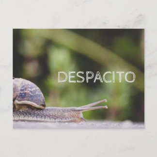 Cartão Postal Despacito