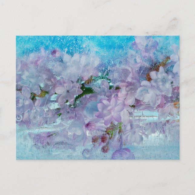 Cartão Postal Despertar primavera (Frente)