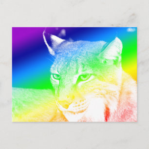 Cartão Postal Destaques do Lynx Rainbow