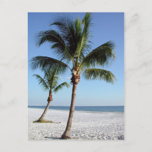 Cartão Postal Destin Florida