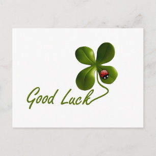 Cartão Postal Destino Personalizado Do Escritório De Besouros De