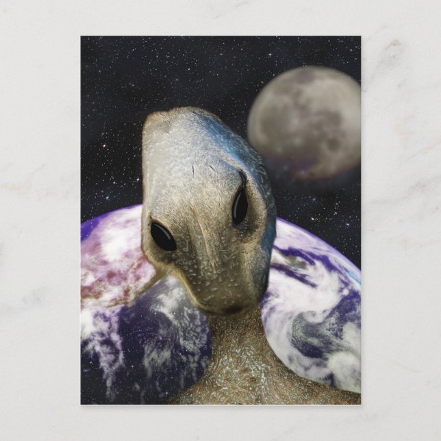 Cartão Postal Destino: Terra (Frente)