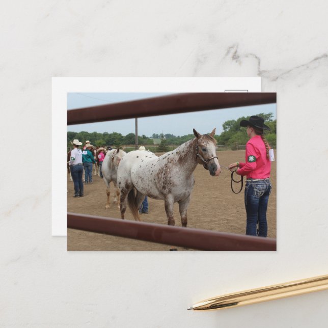 Cartão Postal Destreza em Exposição de Cavalos (Frente/Verso In Situ)