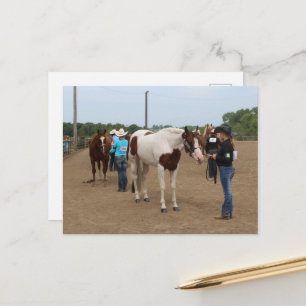Cartão Postal Destreza em Exposição de Cavalos