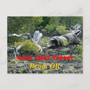 Cartão Postal Destruição distorcida