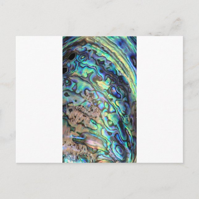 Cartão Postal Detalhe da concha do abalone verde-azul (Frente)