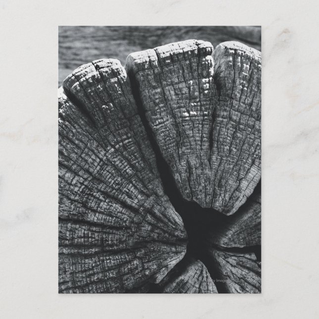 Cartão Postal Detalhe da madeira (Frente)