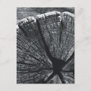 Cartão Postal Detalhe da madeira