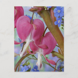Cartão Postal Detalhe de corações sangrando e flores Brunnera Ja
