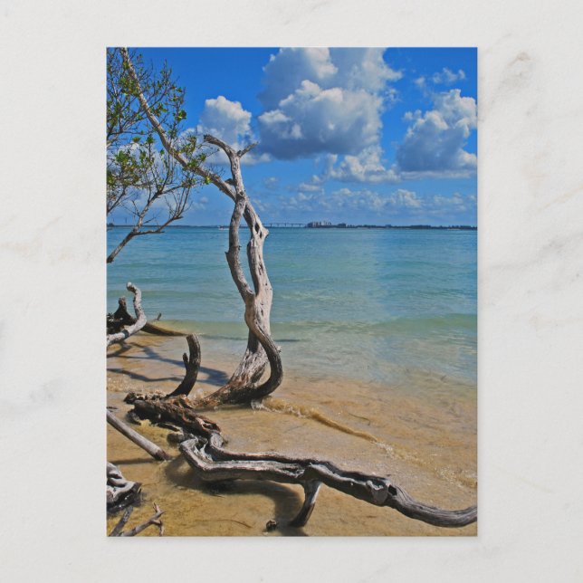 Cartão Postal Detritos para Passagem Cega (Frente)