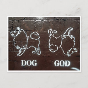 Cartão Postal deus cão
